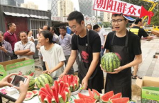 51朝阳群众吃瓜网官网,带你领略网络舆论新风向