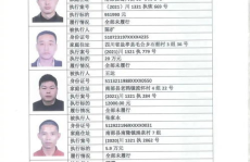 全国失信人名单查询,构建诚信社会，维护法律尊严