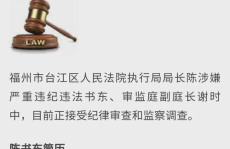 法官枉法裁判怎么办,遭遇法官枉法裁判时的应对策略与法律途径
