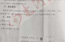 伤残鉴定中心免费咨询,专业咨询，助您了解鉴定流程与权益保障