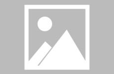 无颜之月_无颜之月V ，无人区网站入口，山东省住房城乡作战厅都市管造局二级调研员左绍辉一行对滨州市建立垃圾统辖职业展开实地调研 ，2025新年头聚甘旨指南 贡乃美食让欢畅更久远