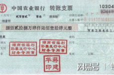 转账支票背书填写样本,详细步骤与注意事项解析