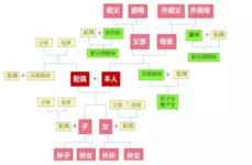 直系亲属包括哪些人一览表,揭秘家族血脉中的紧密纽带