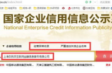 国家家企业信用信息系统,国家企业信用信息系统的全面概览