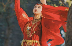 东宫模特,时尚界的璀璨新星