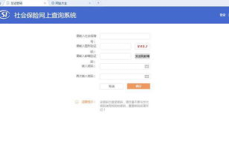 社会保险网上查询系统,网上查询系统助力便捷高效管理