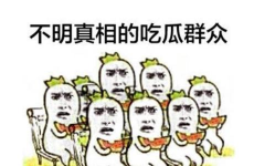 工作娱乐两不误吃瓜群众,吃瓜群众的日常智慧分享