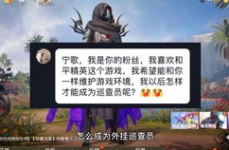1314小游戏,腾讯QQ游戏1314玫瑰小镇体验记