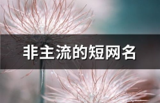 短网名,简约而不简单，个性与创意的完美结合