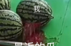 吃瓜在线,从娱乐八卦到社会现象的深度解读